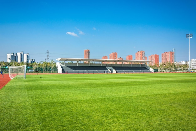 the sports playground in the park with artificial grass and a stretched net on a background of green trees