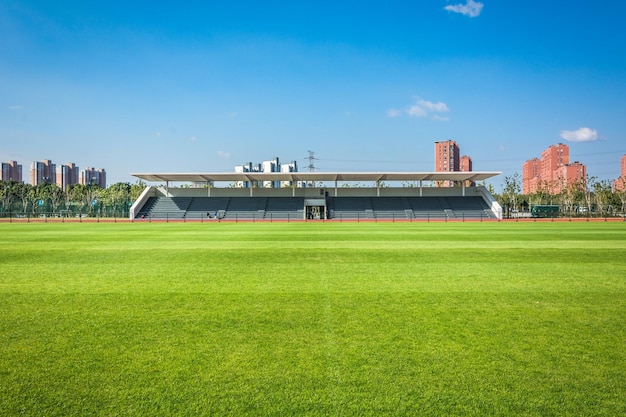 the sports playground in the park with artificial grass and a stretched net on a background of green trees