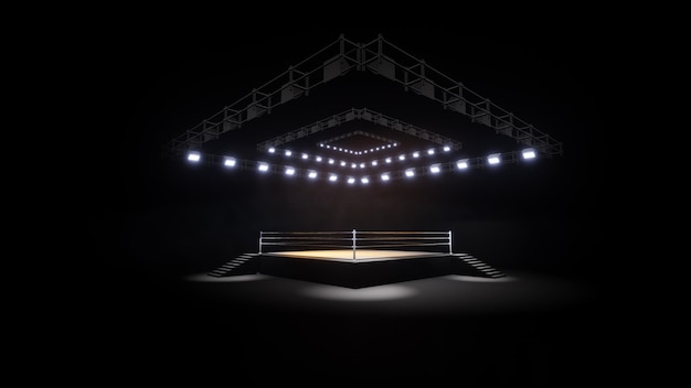 Sports wrestling and boxing Sport 4K professional background