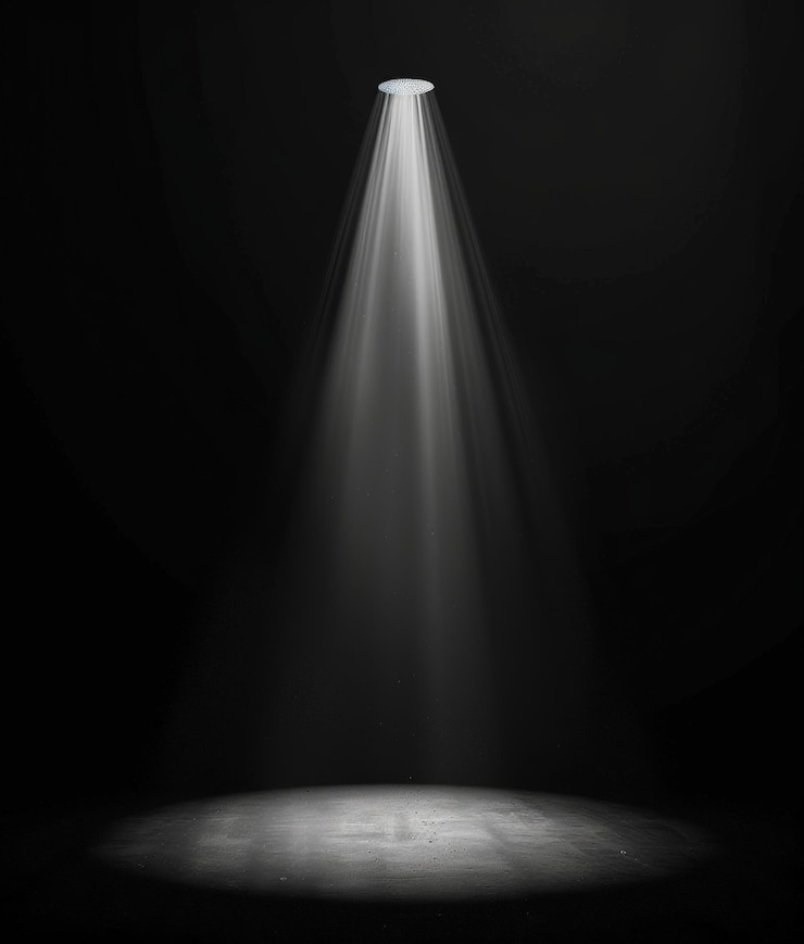 Photo spotlight on stage