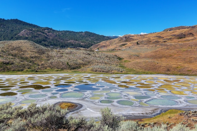 Spotted lake in british columbia, canada