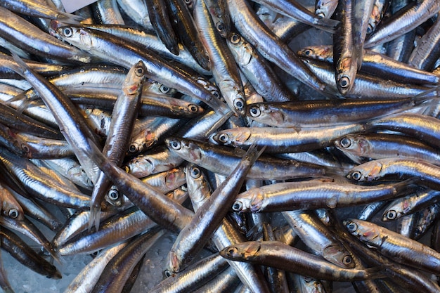 Sprat on a fish market