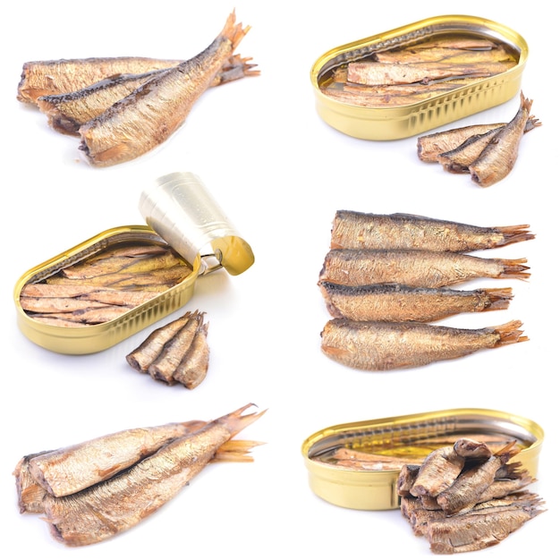 Sprats on white background