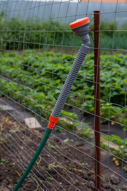 Una bottiglia spray di acqua per l'irrigazione sul recinto