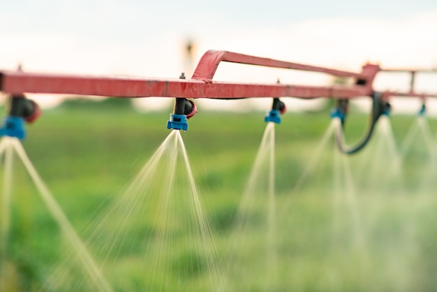 Spray heads of agricultural sprayers.