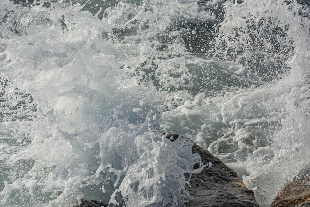 Photo a spray of water waves break on coastal rocks and turn into spray