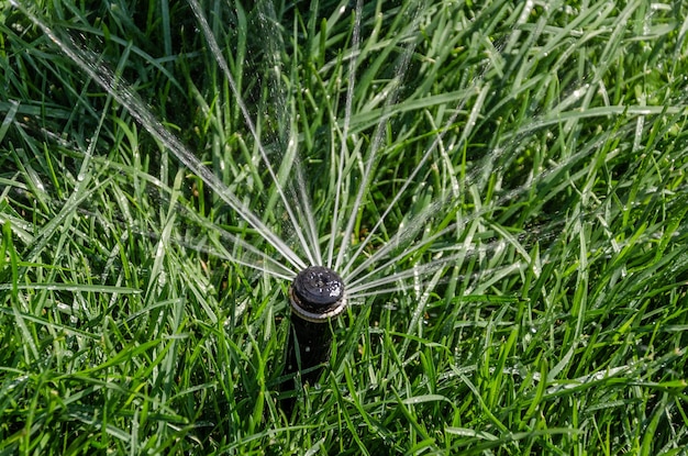 夏の緑の草の中で水を噴霧します。