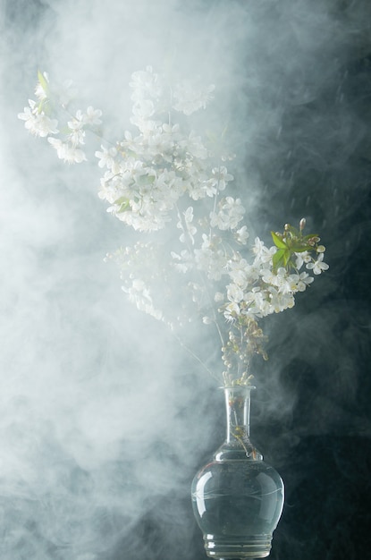 Sprig of cherry blossoms in smoke and water drops on black