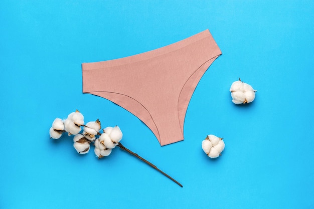 A sprig of cotton and beige panties on a light blue background The concept of women's underwear