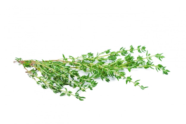 Sprig of fresh thyme leaf isolated