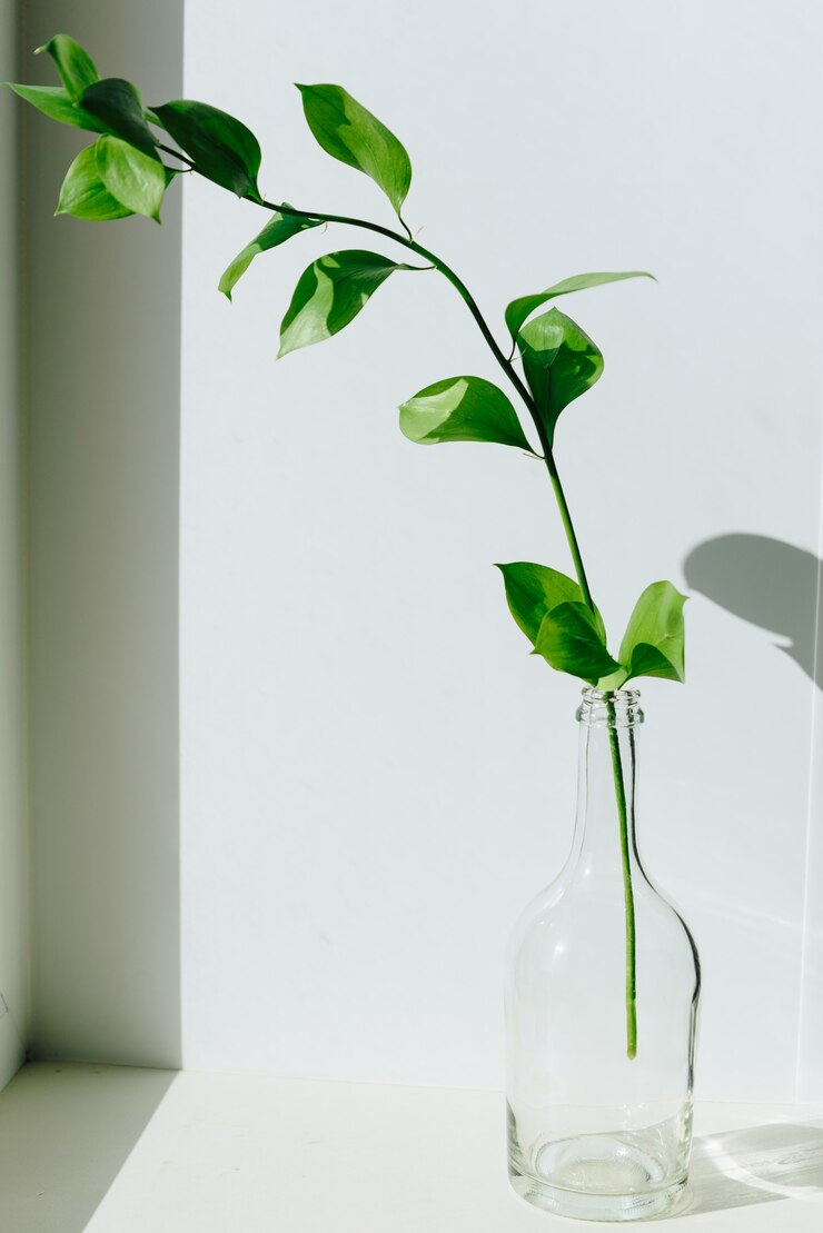 自然光の白い窓辺にある小さな花瓶に緑の植物の小枝1