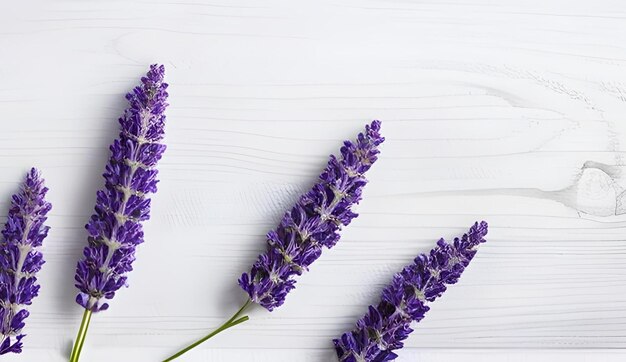 Photo sprig of lavender flower
