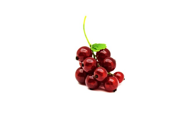 A sprig of red currant close up isolated on a white background