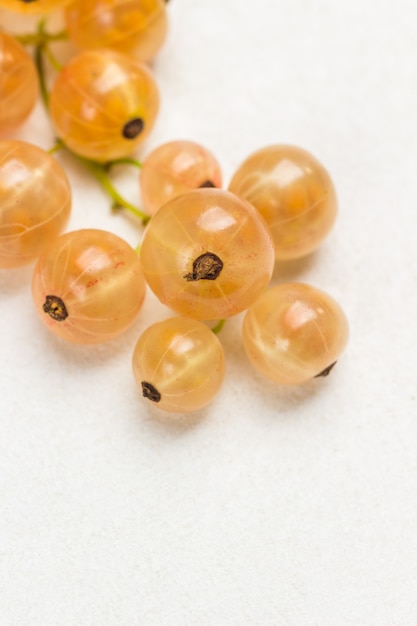 Sprig of white currants on white. Berry background. Flat lay. Copy space