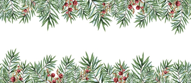 Photo sprigs of coniferous christmas trees watercolor seamless border hand drawn scandinavian for new year