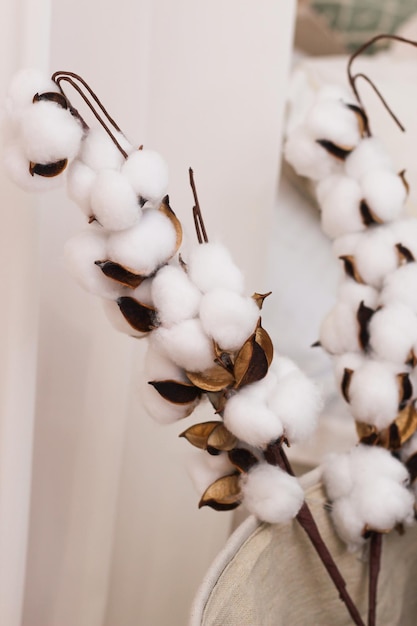 Sprigs of cotton stand in a vase as a decoration of the interior and decor