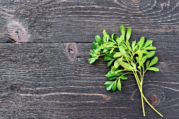 Sprigs of fresh green rue on a black wooden board background