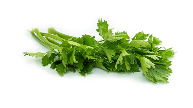 Sprigs of fresh parsley.