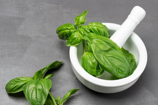 Sprigs of green basil in mortar Pestle in mortar