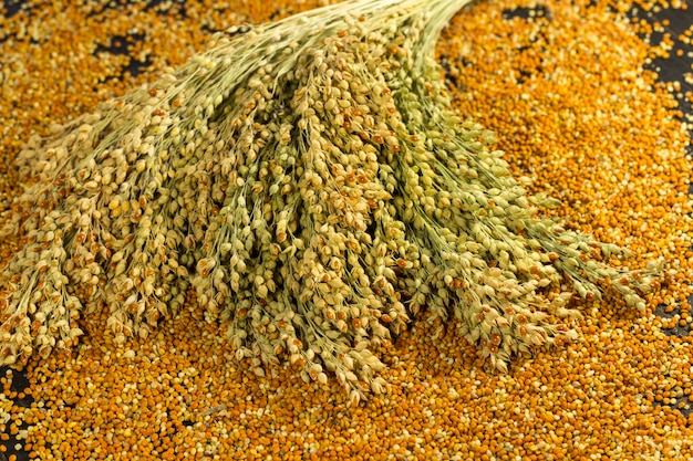 Sprigs of millet and grains