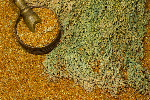 Sprigs of red millet