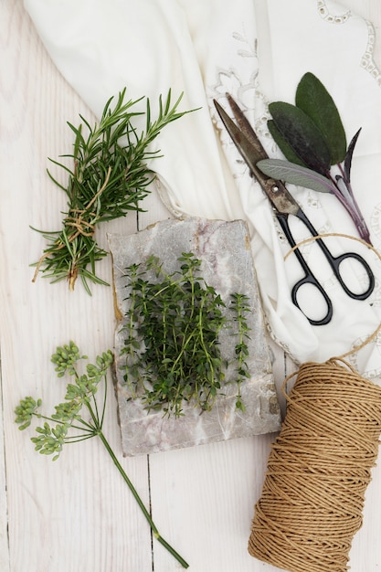 Sprigs of thyme in a bunch of related