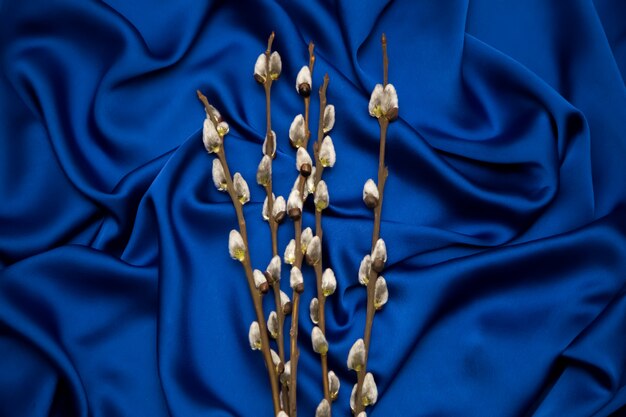 Sprigs of willow on a blue