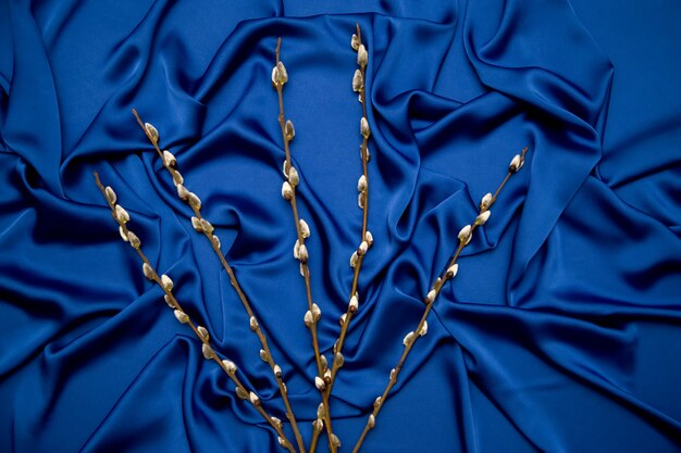 Sprigs of willow on a blue