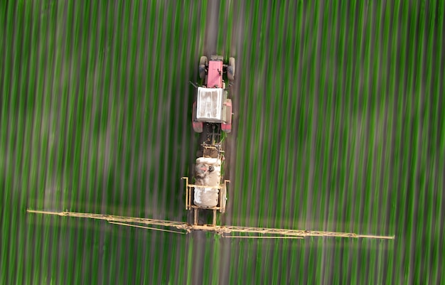 Spring agricultural work in the fields. The tractor sprays crops with herbicides, insecticides and pesticides.