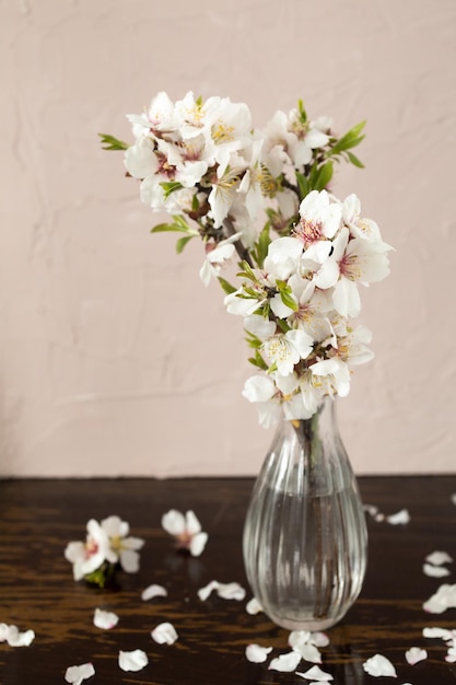 Spring almond blossoms vibrant flowers in full bloom