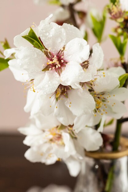 Photo spring almond blossoms vibrant flowers in full bloom