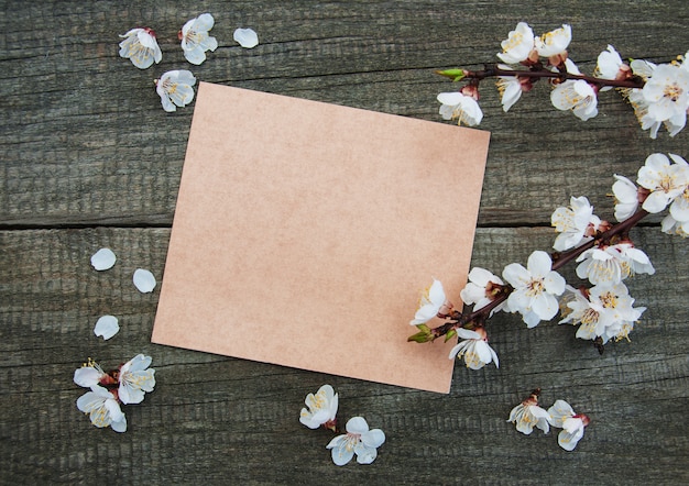 Spring apricot  blossom and card