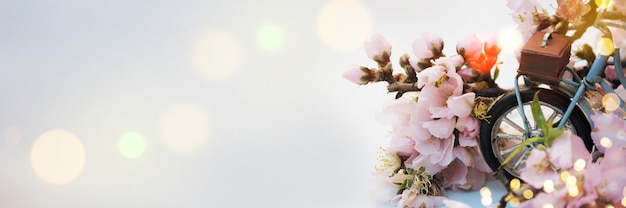 Spring background with blossom