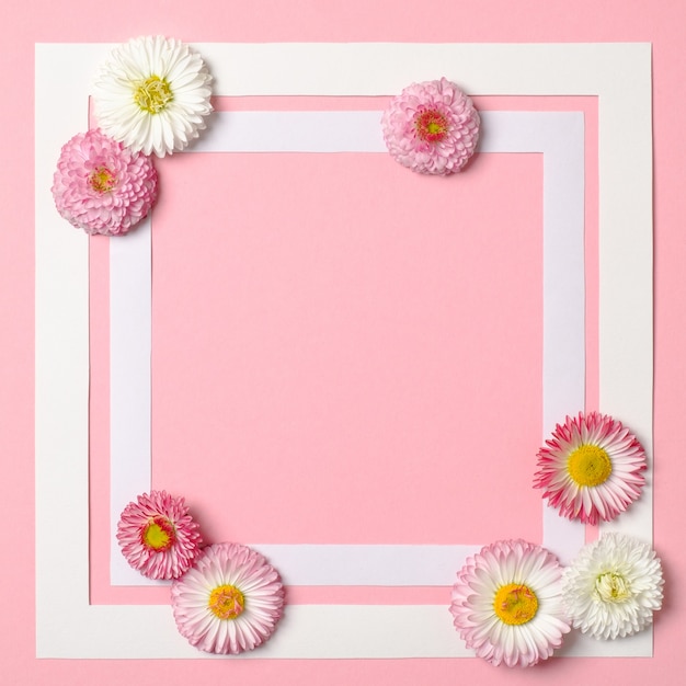 Spring background with border frame and daisy flowers in corners.