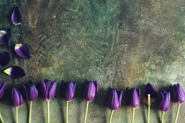 Spring background with purple tulips on green table top view space for text