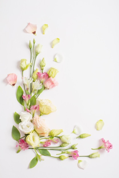 Spring beautiful flowers on white background