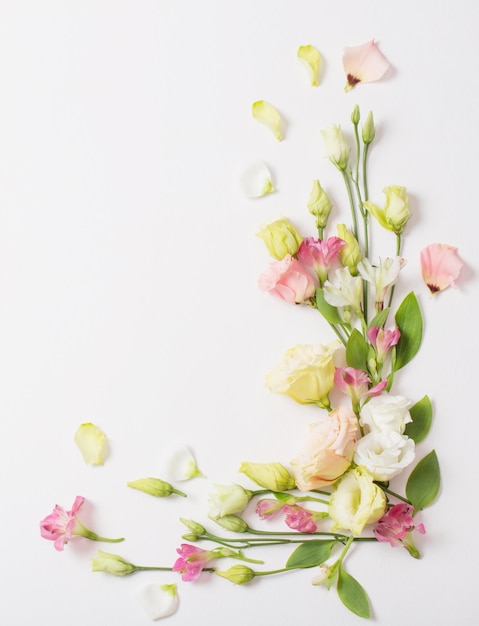 Spring beautiful flowers on white background