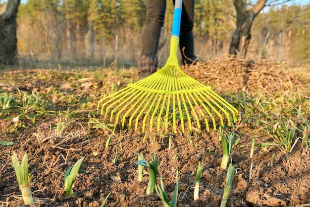 Spring bed hark seizoensgebonden achtertuin tuin schoonmaken