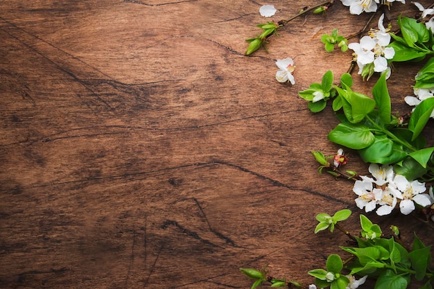 Rami in fiore primaverili su sfondo di legno spazio per la copia della vista dall'alto dei fiori di ciliegio bianco