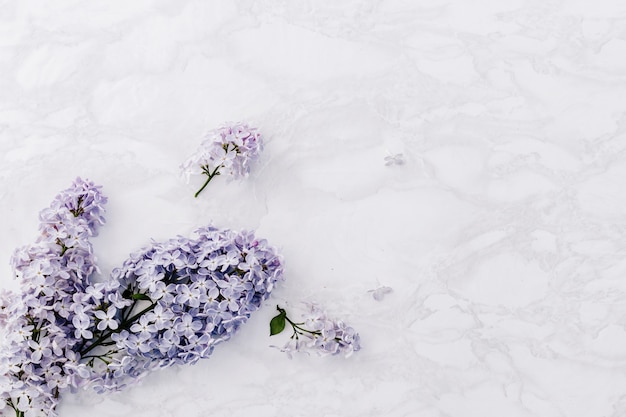Spring blooming lilacs on a marble background