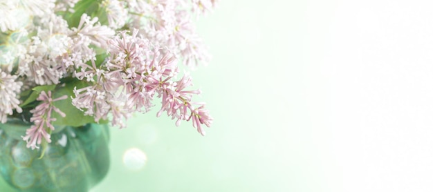 Photo spring blossom banner with sunlit pink rosehip flower close up on blurred green with sun glare