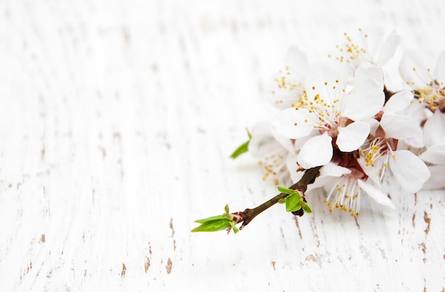 木材の背景に春の花