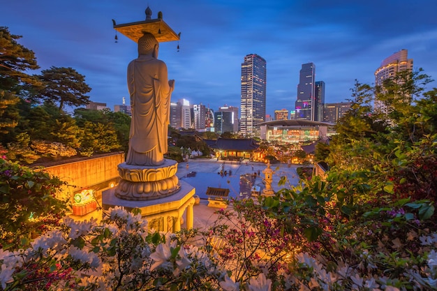 서울 강남구의 중심에 있는 밤의 봄 봉재사 사원