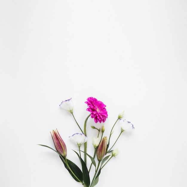 Foto mazzo della primavera dei fiori isolati su fondo bianco