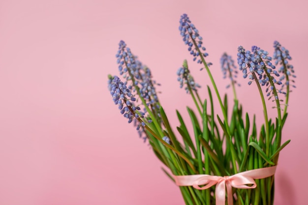 ピンクの明るい背景に春の花の花束 ムスカリ ブーケ