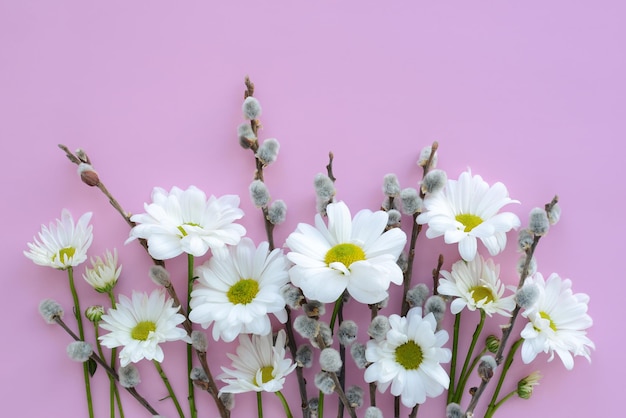 ピンクの背景に白いカモミールまたはヒナギクとネコヤナギの小枝の花の春の花束