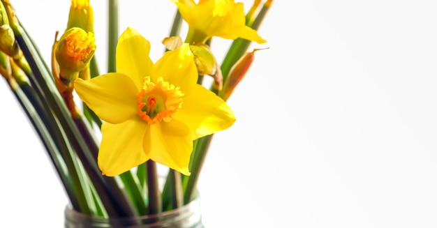 Spring bouquet of flowers