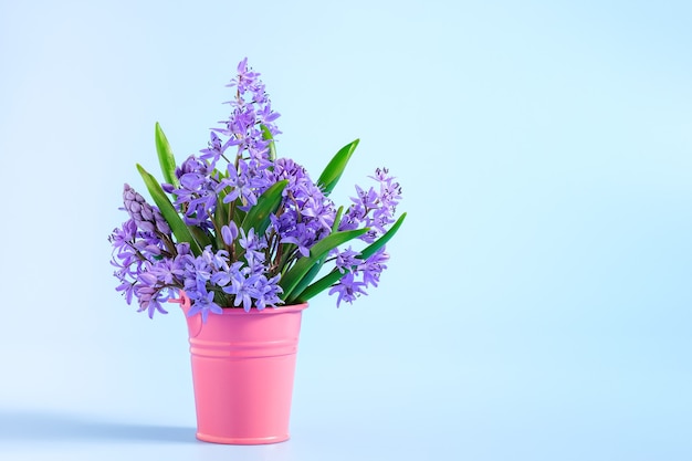 Spring bouquet from snowdrop flowers standing in a pink bucket