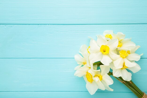 Spring bouquet of narcissus on blue wooden background