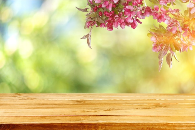 Spring branches with flower